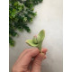 Силиконовый молд 3д Бутон морозника 4 см