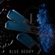 Барвник жиророзчинний сухий Latarte Blue berry 30 мл