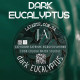 Краситель водорастворимый порошковый (сухой) Ja Latarte Dark Eucalyptus 10 г